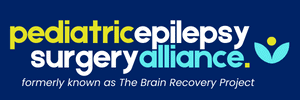 Brain Recovery Project logo