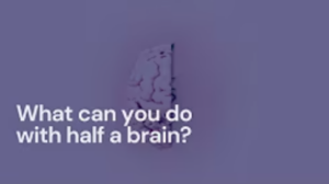 What can you do with half a brain?