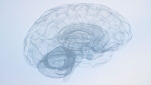 A sketch of the brain