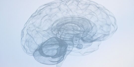 A sketch of the brain